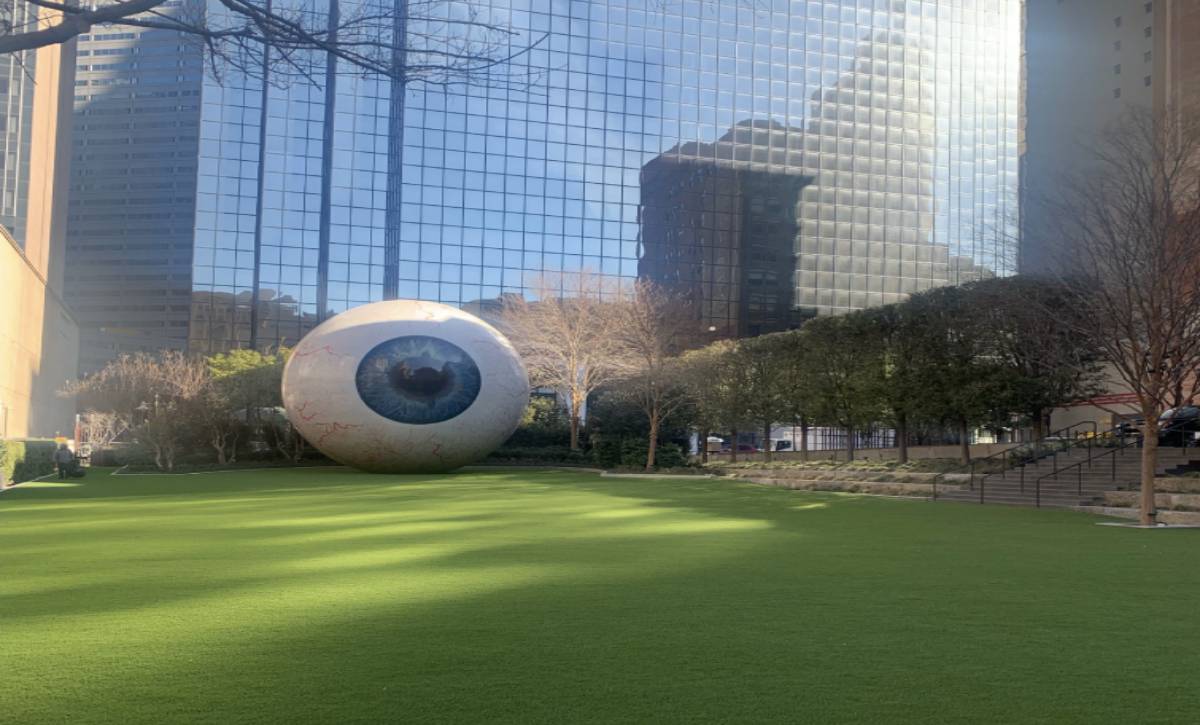 Alternate view of the giant eyeball artificial grass park installed by SYNLawn