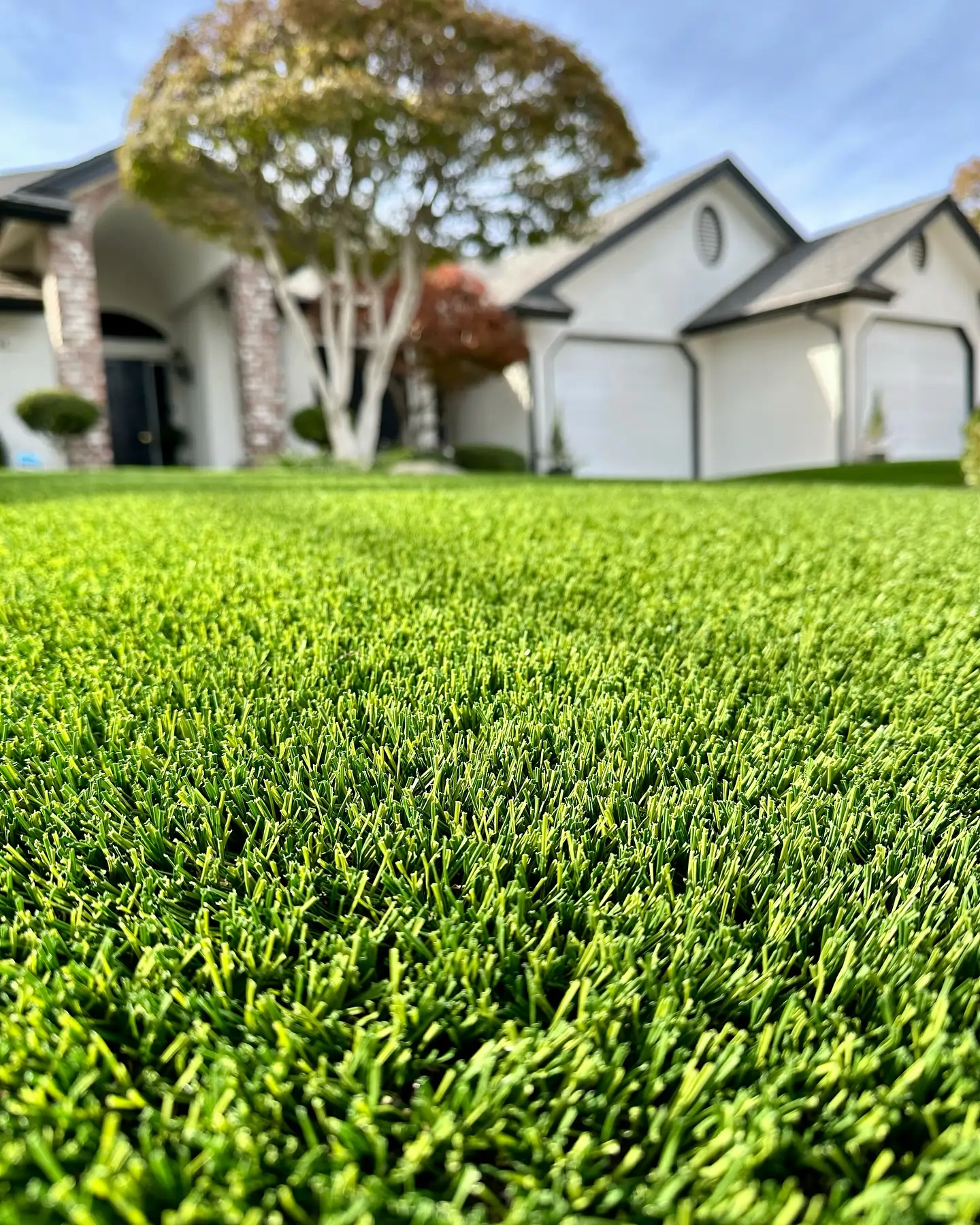 SYNLawn Mississippi Artificial Grass Front Lawn